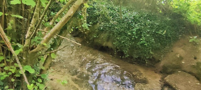 Campement Privatisé Aménagé EN Pleine Nature Près DU ZOO DE Beauval in Bouges-le-Château